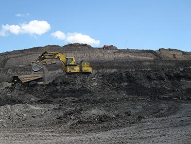 Acid resistant module